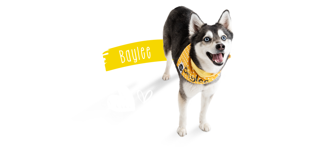 Gulliver & Baylee
