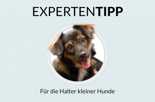 Expertentipp