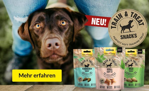 Gimdog Train & Treat