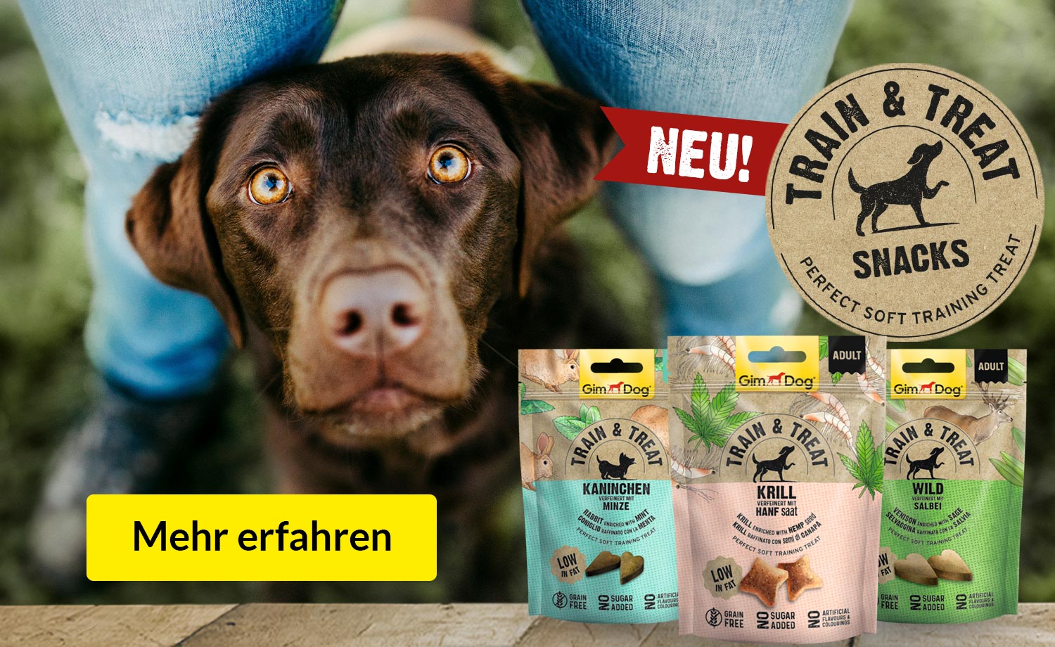 Gimdog Train & Treat