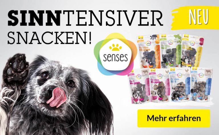 SINNTENSIVER SNACKEN!